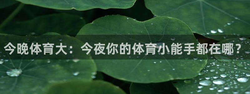 新闻图片