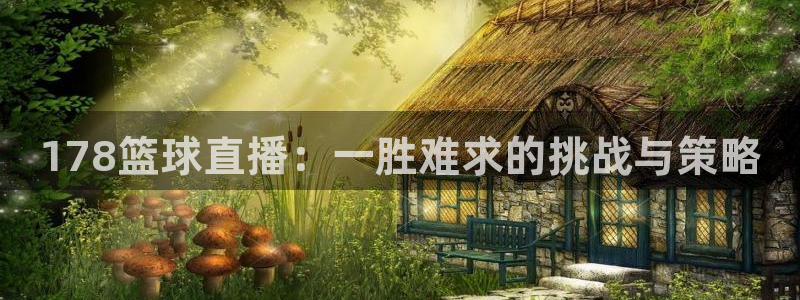 178篮球直播：一胜难求的挑战与策略